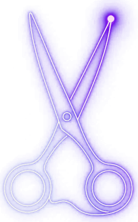 Web Salon logo